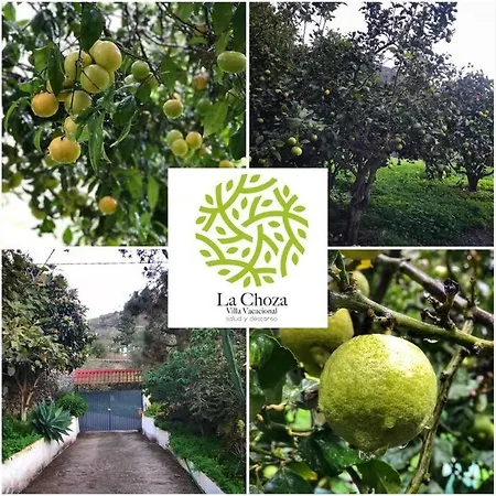 La Choza Vacacional Teror