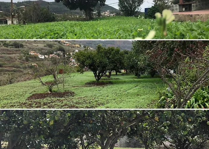 Villa La Choza Vacacional *